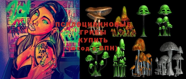 таблы Коряжма