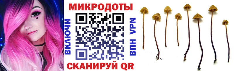 Псилоцибиновые грибы Cubensis  Купить где  Аркадак 